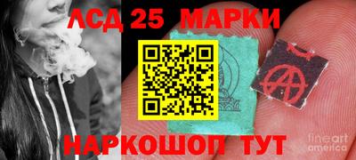 2c-b Бердск